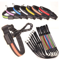 HKM-8707773 Solar LED Light-Up Dog Collar with USB Rechargeable Feature, Multiple Colors Available