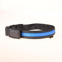 HKM-8707773 Solar LED Light-Up Dog Collar with USB Rechargeable Feature, Multiple Colors Available