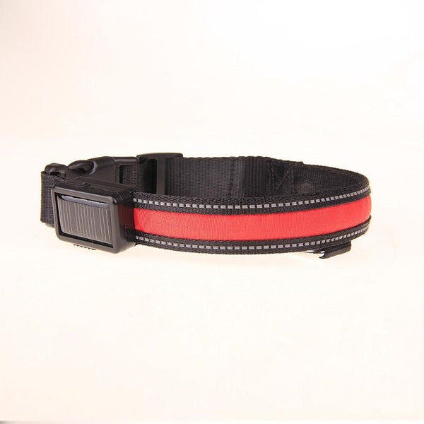 HKM-8707773 Solar LED Light-Up Dog Collar with USB Rechargeable Feature, Multiple Colors Available