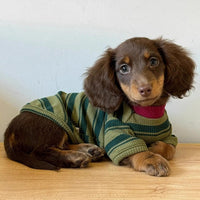 HKM-8710333 Adorable Dark Green Striped Two-Legged Vest for Pets ¨C Trendy, Durable, and Breathable