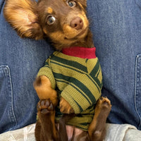 HKM-8710333 Adorable Dark Green Striped Two-Legged Vest for Pets ¨C Trendy, Durable, and Breathable