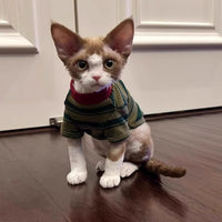 HKM-8710333 Adorable Dark Green Striped Two-Legged Vest for Pets ¨C Trendy, Durable, and Breathable