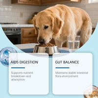 HKM-8711613 Daily Probiotic Soft Granules for Dog Gut Health with Pumpkin, Flaxseed Oil, and Digestive Enzymes 200g