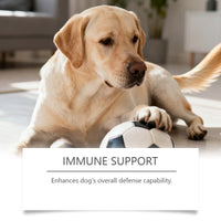 HKM-8711613 Daily Probiotic Soft Granules for Dog Gut Health with Pumpkin, Flaxseed Oil, and Digestive Enzymes 200g