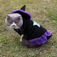 HKM-8715709 Purple Polyester Christmas Wizard Dog Costume - Size S, M, L