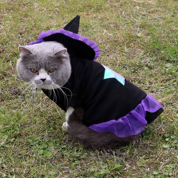 HKM-8715709 Purple Polyester Christmas Wizard Dog Costume - Size S, M, L