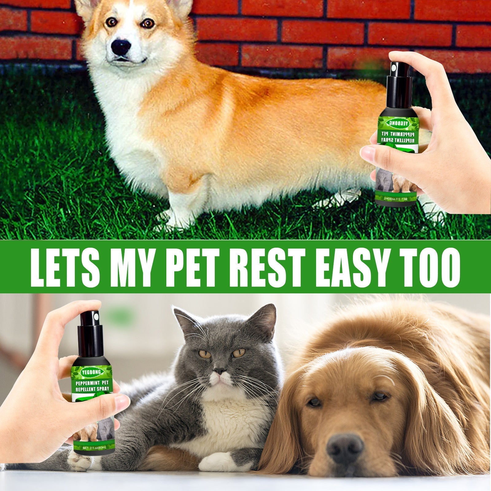 HKM-8724925 Pet-Friendly Acarus Fungus Treatment Spray for Dogs and Cats - 60ml