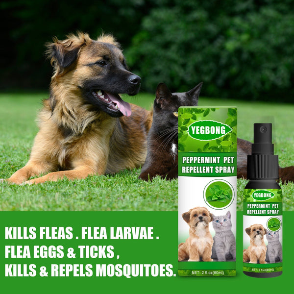 HKM-8724925 Pet-Friendly Acarus Fungus Treatment Spray for Dogs and Cats - 60ml