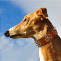 HKM-8725053 Retro Leather Neck Sleeve for Medium to Large Dogs with Alloy Rivets in Multiple Colors