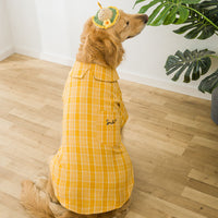 HKM-8725437 Golden Wool Labrador Chai Dog Shirt for Medium to Large Dogs, Available in Brown and Yellow