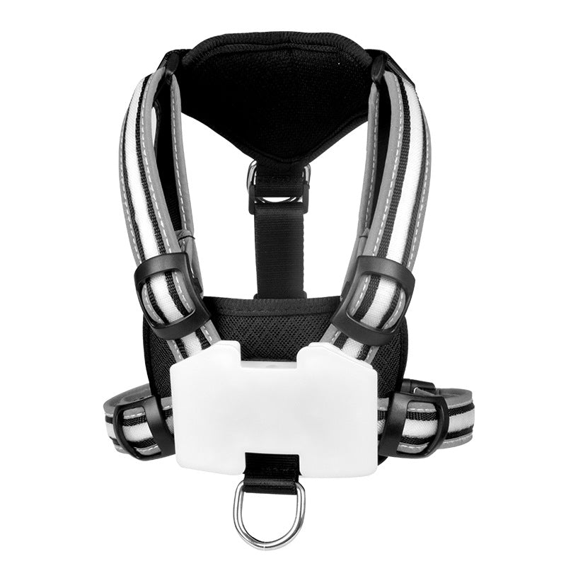 HKM-8726333 Luminous Nylon Dog Leash with Multi-Color Transformation and Explosion-Proof Design
