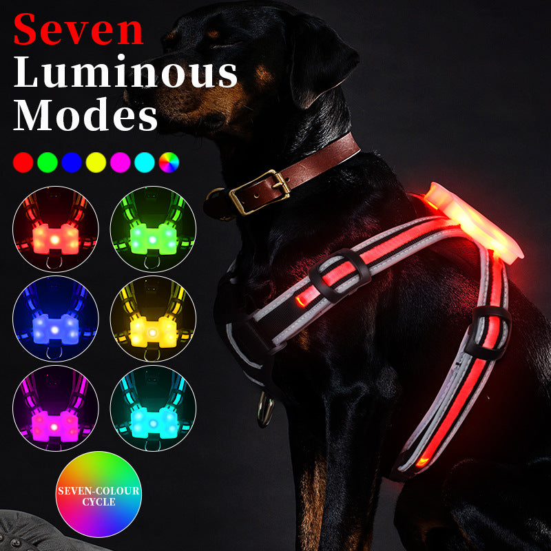 HKM-8726333 Luminous Nylon Dog Leash with Multi-Color Transformation and Explosion-Proof Design
