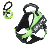 HKM-8732093 Adjustable Pet Harness with Leash - Available in Multiple Colors