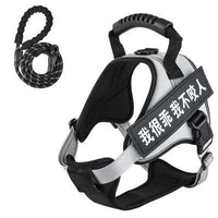 HKM-8732093 Adjustable Pet Harness with Leash - Available in Multiple Colors