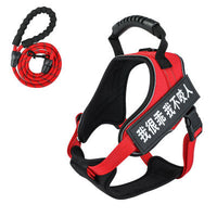 HKM-8732093 Adjustable Pet Harness with Leash - Available in Multiple Colors
