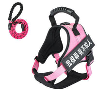 HKM-8732093 Adjustable Pet Harness with Leash - Available in Multiple Colors
