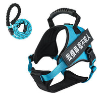 HKM-8732093 Adjustable Pet Harness with Leash - Available in Multiple Colors