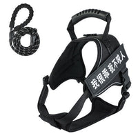 HKM-8732093 Adjustable Pet Harness with Leash - Available in Multiple Colors