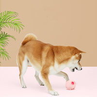 HKM-8739389 Interactive Latex Pet Toy with Soft Sound and Fun Fart Noise
