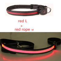HKM-8740541 Luminous Dog Collar with Adjustable Length - Sizes S, M, L Available