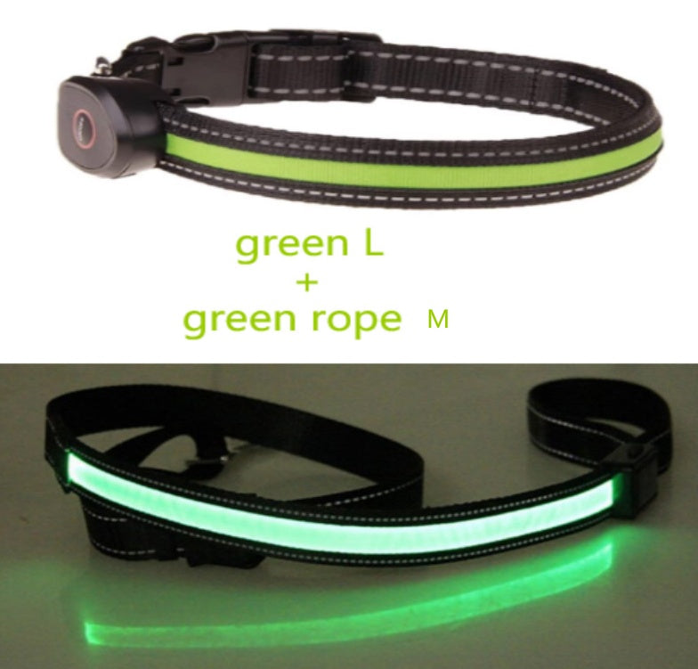 HKM-8740541 Luminous Dog Collar with Adjustable Length - Sizes S, M, L Available