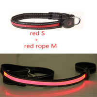 HKM-8740541 Luminous Dog Collar with Adjustable Length - Sizes S, M, L Available