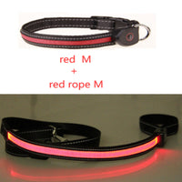 HKM-8740541 Luminous Dog Collar with Adjustable Length - Sizes S, M, L Available