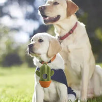 HKM-8741821 Cactus Shaped Pet Waste Bag Dispenser - Easy Carrying Dog Waste Management Case