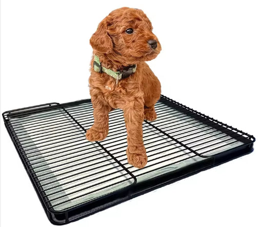 HKM-8745917 Dog Toilet Tray for Small to Medium Dogs - Durable ABS Plastic Design, Various Sizes Available