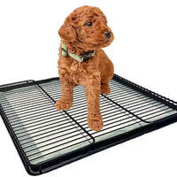 HKM-8745917 Dog Toilet Tray for Small to Medium Dogs - Durable ABS Plastic Design, Various Sizes Available