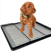 HKM-8745917 Dog Toilet Tray for Small to Medium Dogs - Durable ABS Plastic Design, Various Sizes Available