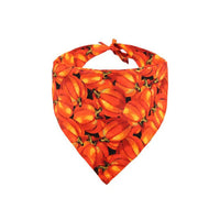 HKM-8757437 Double-Sided Pumpkin Dog Bandana - Cartoon Design for Four Seasons