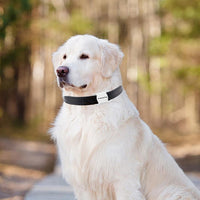 HKM-8757821 Smart GPS Locator for Pets - Lightweight ABS Tracker for Dogs and Cats, Collar Compatible, Compact Design