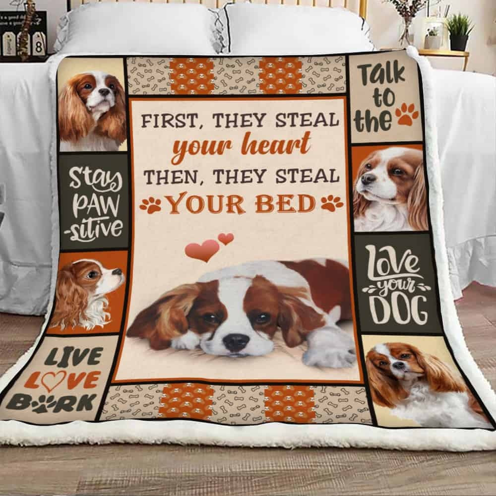 HKM-875795 Cartoon Flannel Blanket for All Seasons - Soft Polyester Fabric