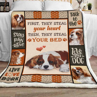 HKM-875795 Cartoon Flannel Blanket for All Seasons - Soft Polyester Fabric