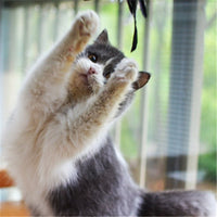 HKM-8760637 Super Flexible Cat Toy Stick with Telescopic Rod and Replaceable Heads