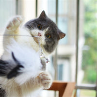 HKM-8760637 Super Flexible Cat Toy Stick with Telescopic Rod and Replaceable Heads