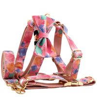 HKM-8767549 Pet Collar and Leash Set with Bow and Vest - 4-Piece Accessories