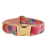 HKM-8767549 Pet Collar and Leash Set with Bow and Vest - 4-Piece Accessories