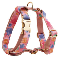 HKM-8767549 Pet Collar and Leash Set with Bow and Vest - 4-Piece Accessories
