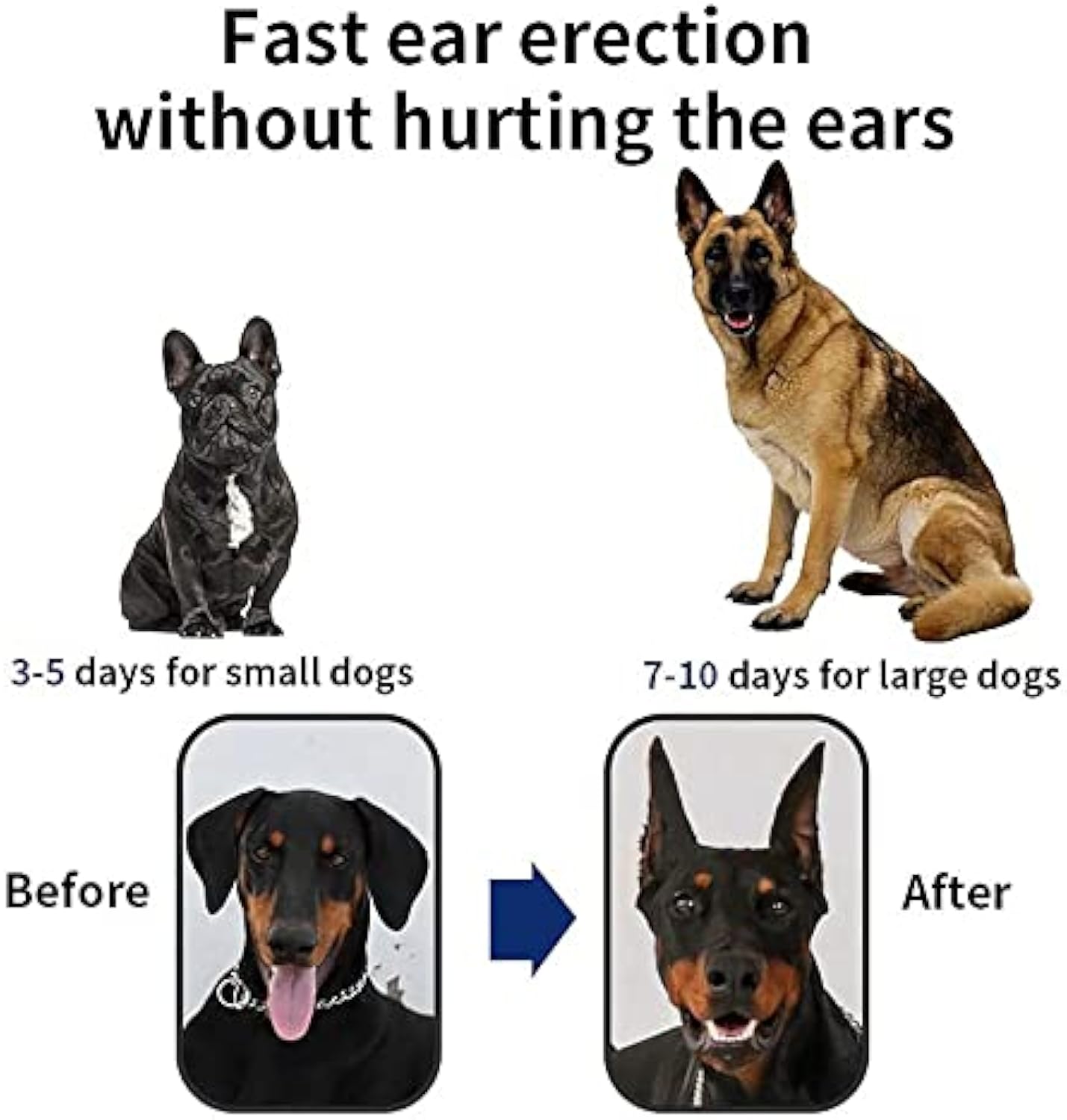 HKM-8768829 Dog Ear Support Fixing Tool for Doberman, Sheltie, Corgi Puppies - Comfortable Vertical Holder