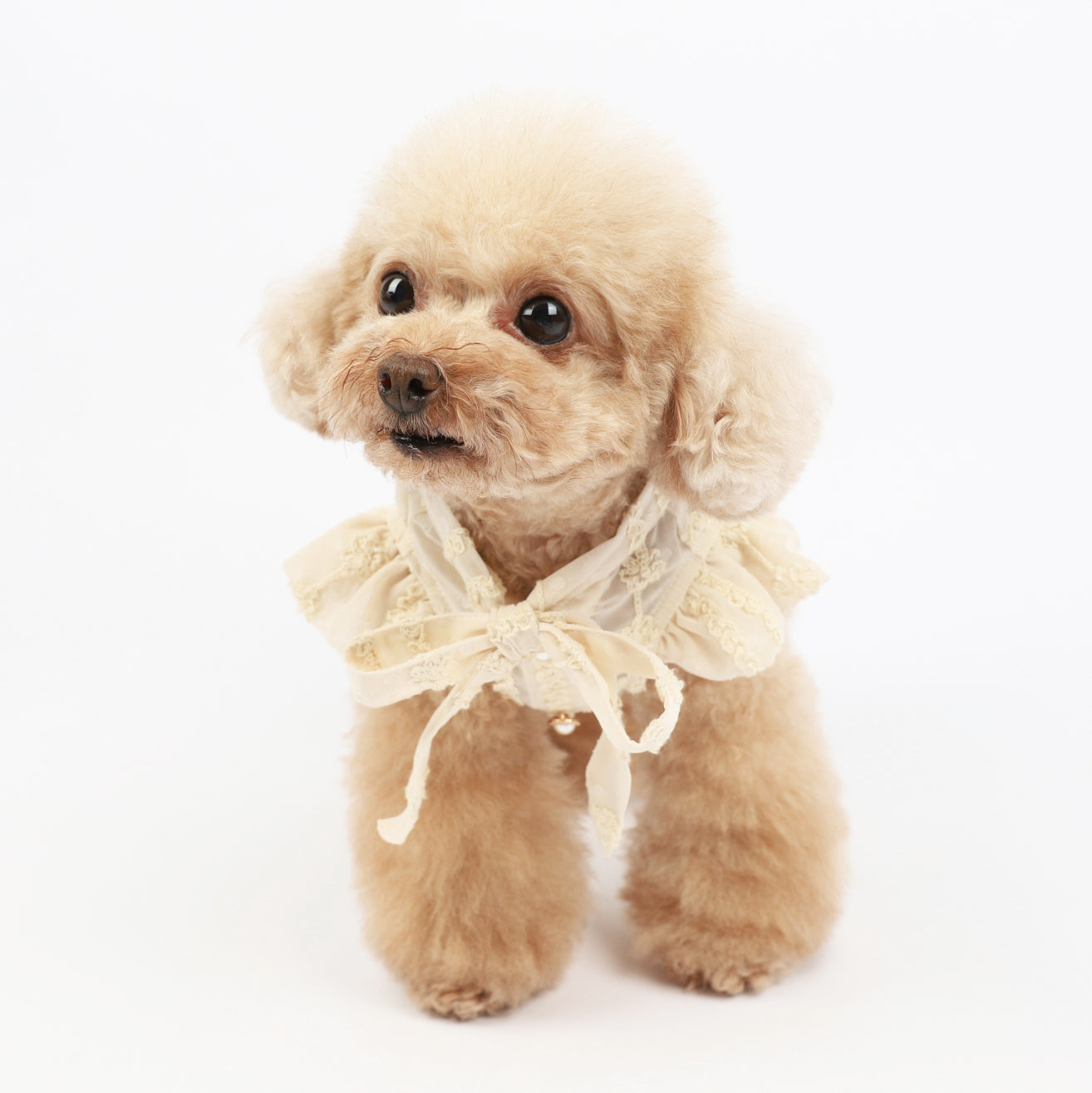 HKM-8769725 Chiffon Princess Dress for Dogs - Embroidered Summer Spring Skirt in Apricot, Sizes XXS to 3XL