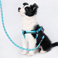 HKM-8771133 Reflective Nylon Dog Leash with Soft Rubber Fasteners for Small and Medium-Sized Dogs
