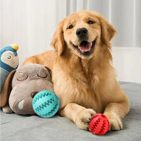 HKM-8772797 Durable Interactive Dog Toy with Treat Ball and Cotton Rope for Chewing and Dental Health