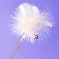 HKM-8779069 Cat Stick with Bell and Feather, Bite Resistant Kitten Toy for All Ages