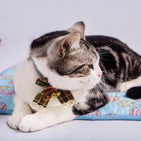 HKM-8781117 Cooling Cat Ice Pad with Antibacterial Nylon Fabric and Breathable Mesh Bottom