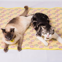 HKM-8781117 Cooling Cat Ice Pad with Antibacterial Nylon Fabric and Breathable Mesh Bottom