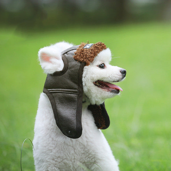 HKM-8781885 Stylish PU Leather Dog Cap for Autumn and Winter - Available in Multiple Sizes and Colors