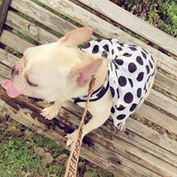 HKM-8784445 Cute Black Tutu Skirt for Senior Dogs - Polyester, Leisure Style, Available in Sizes S to XL