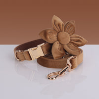 HKM-8786621 Velvet Pet Dog Collar Set with Bow, Chest Harness, and Hand-Holding Rope